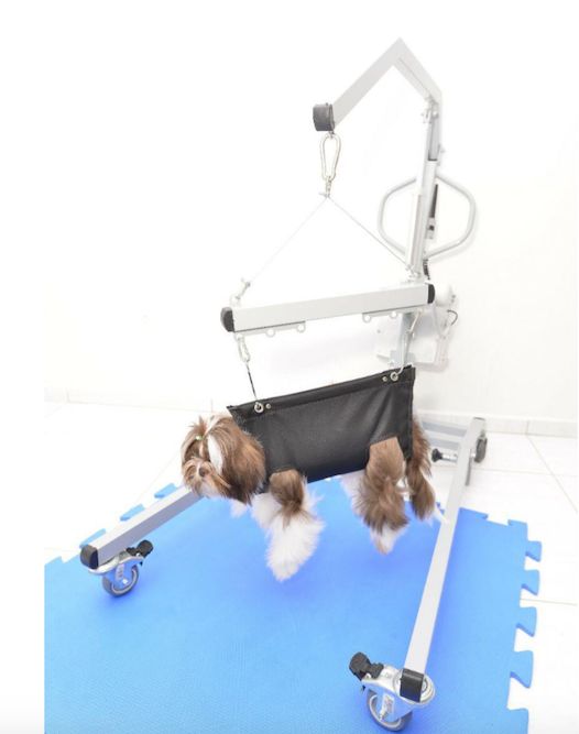 Vet LIFT (guindaste para reabilitação animal)