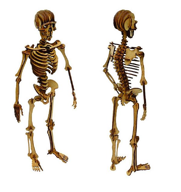 Quebra Cabeça Madeira 3D Esqueleto Humano Aquarela Brinquedos