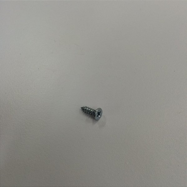 PARAFUSO PHILLIPS C/ ESCARIADA RS 2,5 X 10 ZINCADO-PT / TE18 - Código 0426154
