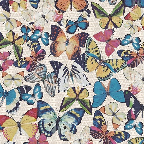 Essence cores de borboletas