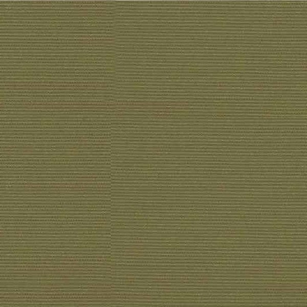 Belize liso verde