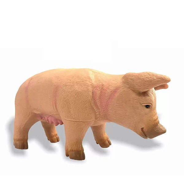 Animais da Fazenda - Porca - Dm Toys