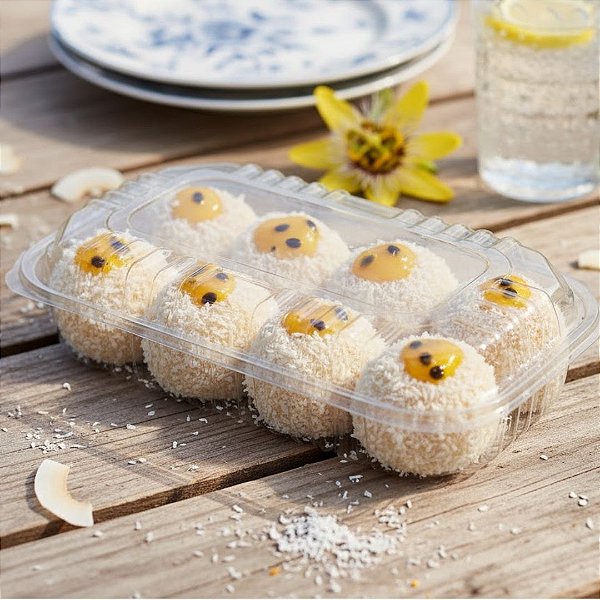 Embalagem Plástica Retangular GA08