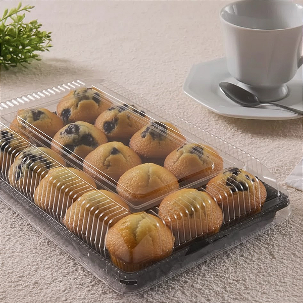 Embalagem Plástica Retangular G71M