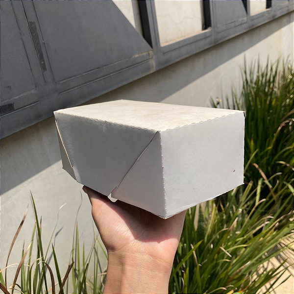 Caixa Doces e Salgados 10x20 c/10 unidades