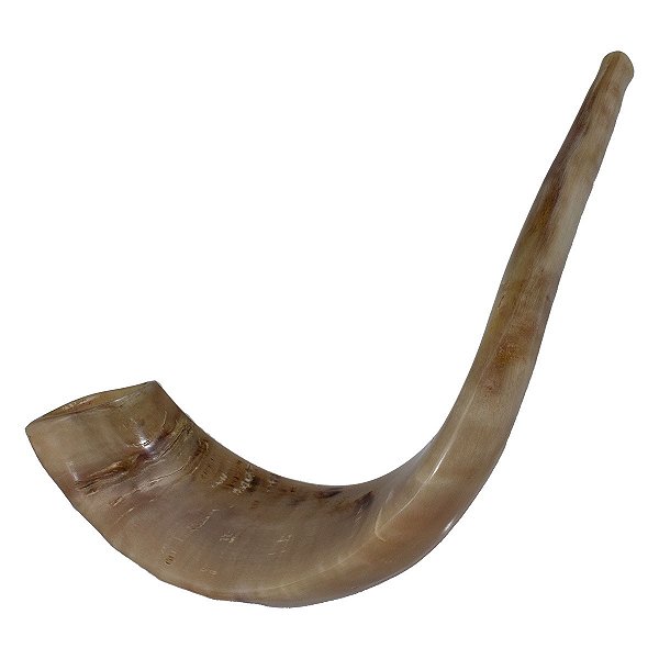 Shofar De Chifre De Carneiro Polido Importado de Israel