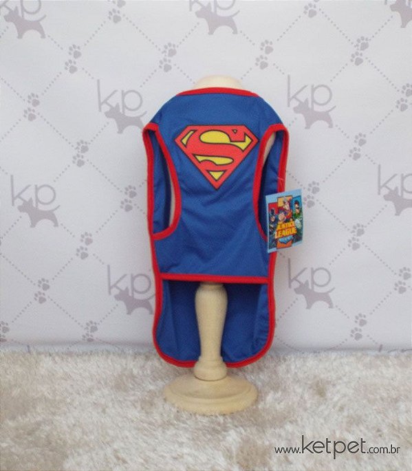 Fantasia Superman Warner Bross