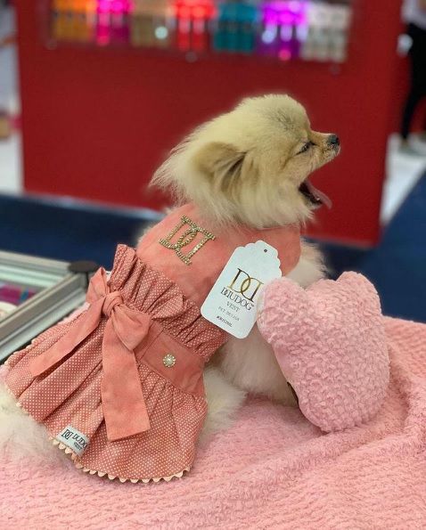 Vestido Poá Salmão DuDog