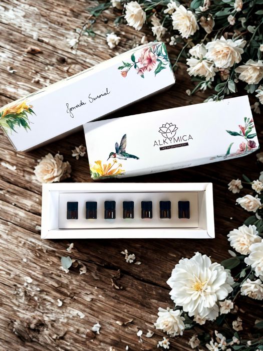 Jornada Sensorial – Kit com 7 Perfumes Naturais em Miniatura + Guia Online