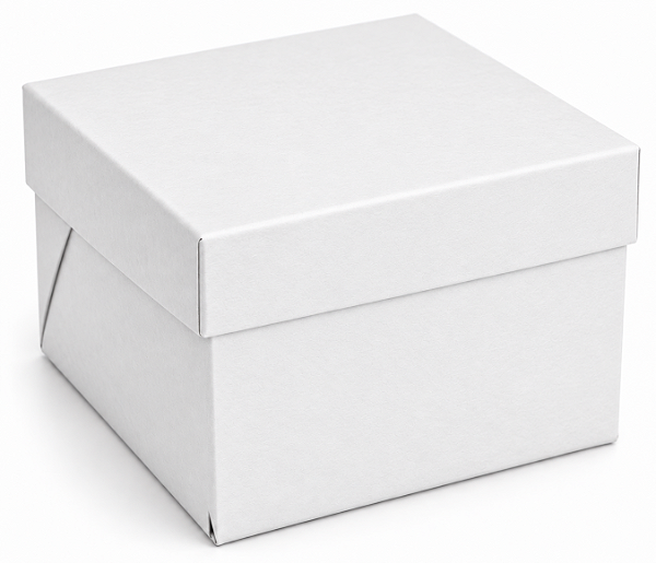 Caixinhas para Mini Bolos - 15x15x10 - Pct com 10 Unidades