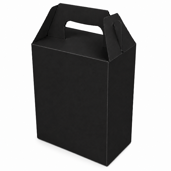 Caixa Maleta Sacolinha Surpresa 8x10,5x5 - Pct com 10 Unidades