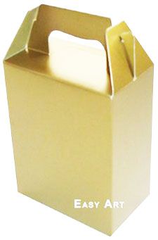 Caixa Maleta 14,5x6x18- Pct com 10 Unidades