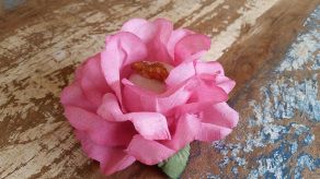 Forminhas em Tecido para Doces - Clara / 24 Unidades