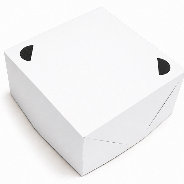 Caixa para Lanches 10x10x6 - Pct com 10 Unidades