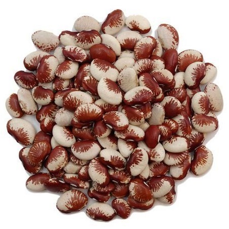Fava Rajada Vermelha