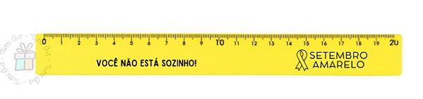 Régua Plástica 20cm