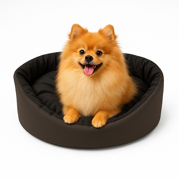 Cama para Cachorro Porte Pequeno Preto – Colchão Removível e Fundo Impermeável