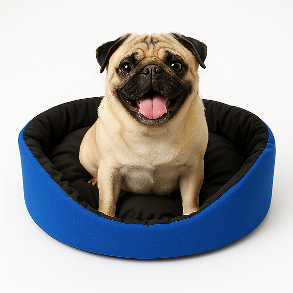 Cama para Cachorro com Colchão Removível e Fundo Impermeável Porte Pequeno - Cor Azul