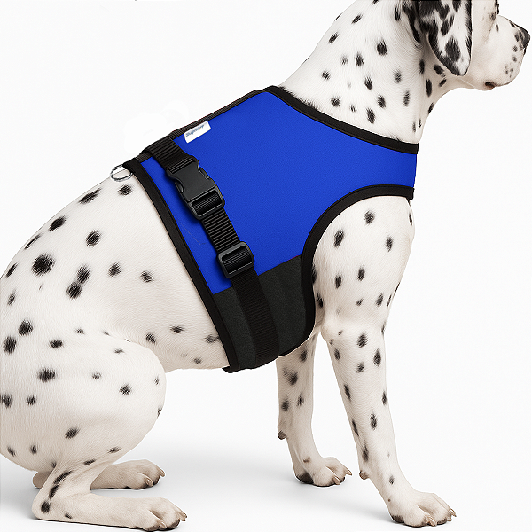 Coleira Peitoral para Cachorro com Guia Ergonômica - Azul