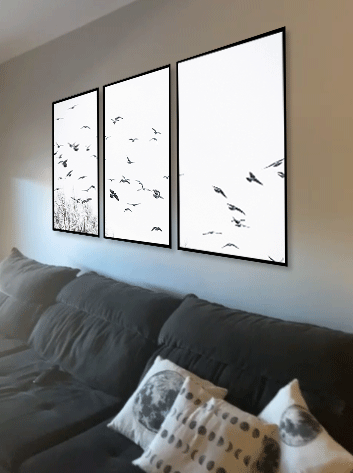 Conjunto de 3 quadros decorativos com arte de pássaros 65x100 cada com moldura de aluminio preto e vidro incolor.