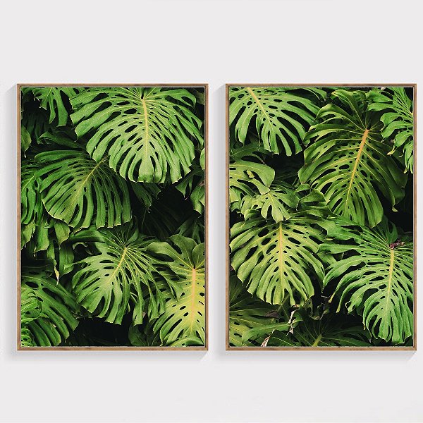 Conjunto com 2 quadros decorativos Folhas Costela de Adão.