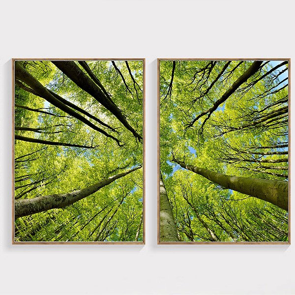 Conjunto com 2 quadros decorativos Floresta Verde