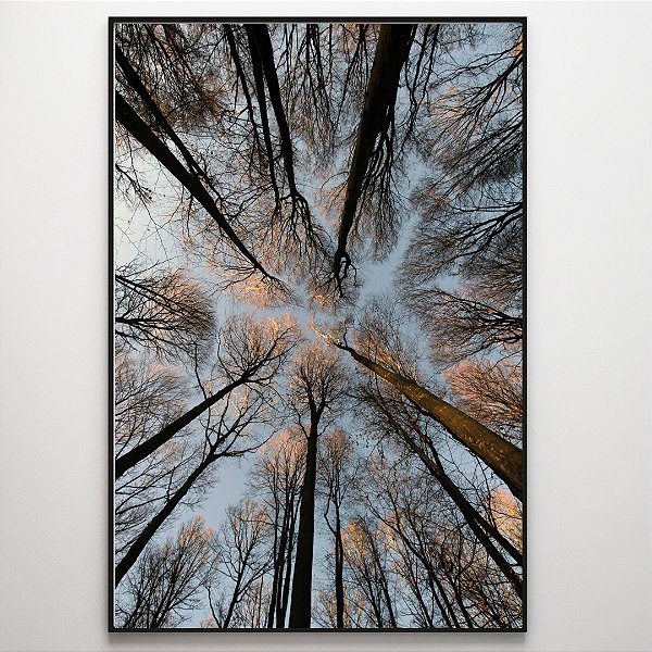 Quadro Decorativo Árvore longa