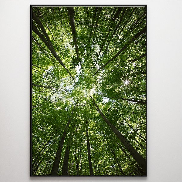Quadro Decorativo Árvore Longa Verde.