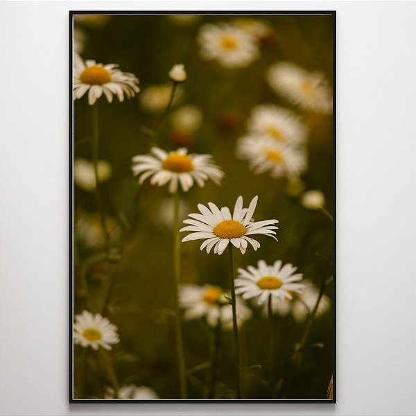 Quadro Decorativo Flores margaridas.