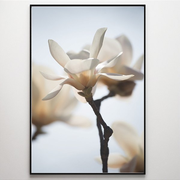Quadro Decorativo Flor branca.