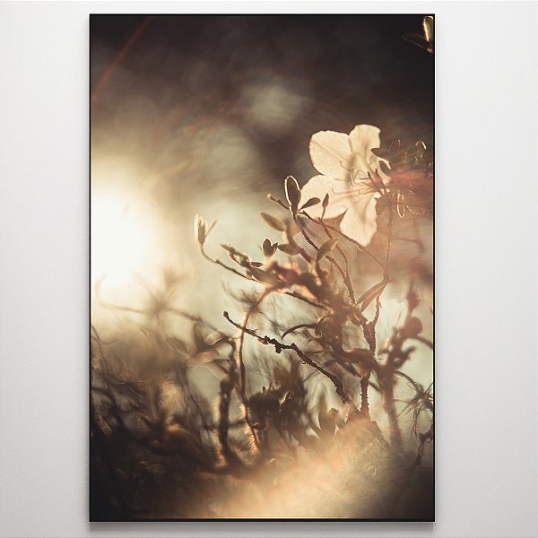 Quadro Decorativo Flor ensolarada.