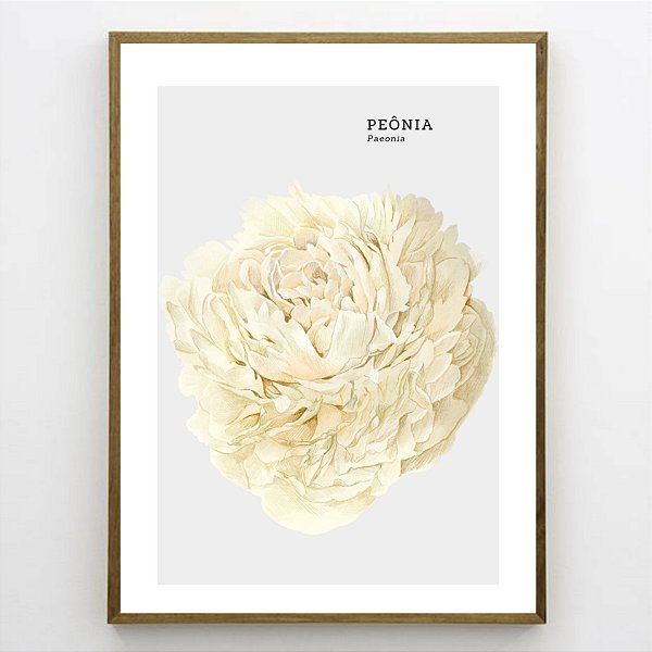 Quadro Decorativo Florais Peônias. Coleção Assinada: Paola Cury