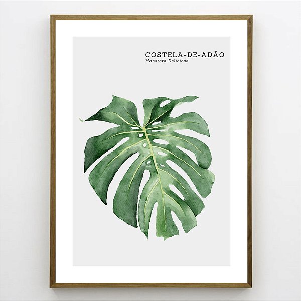 Quadro Decorativo Costela de Adão. Coleção Assinada: Paola Cury