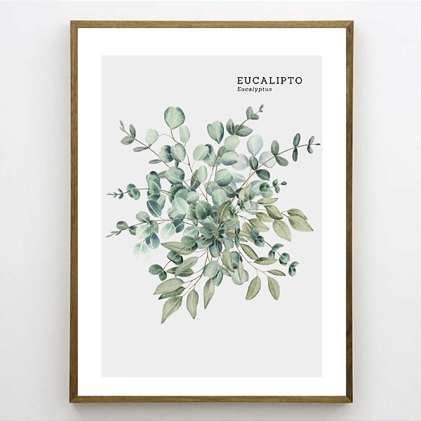Quadro Decorativo Eucalipto. Coleção Assinada: Paola Cury