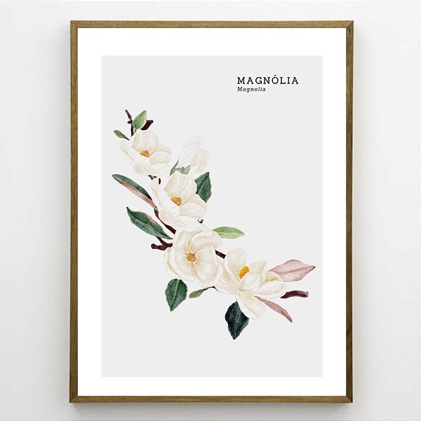 Quadro Decorativo Magnólia. Coleção Assinada: Paola Cury