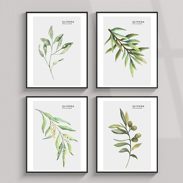 Conjunto de 4 quadros decorativos Oliveira. Coleção Assinada: Paola Cury
