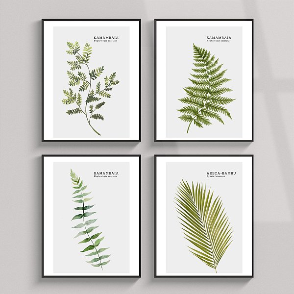 Conjunto de 2 Quadros Decorativo Samambaia. Coleção Assinada: Paola Cury