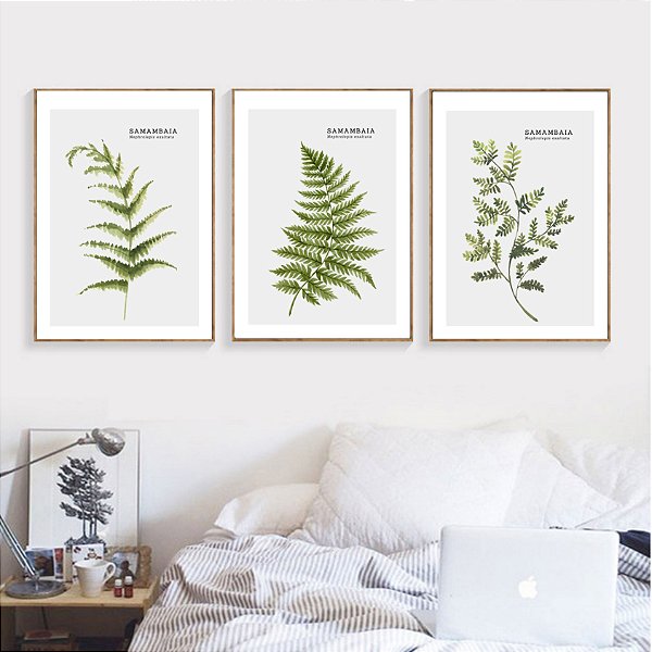 Conjunto de 3 quadros decorativos Samambaia. Coleção Assinada: Paola Cury