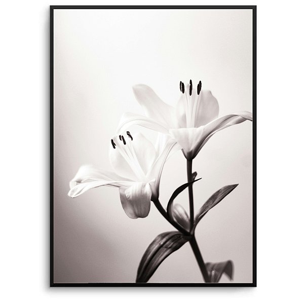 Quadro Decorativo Flor branca.