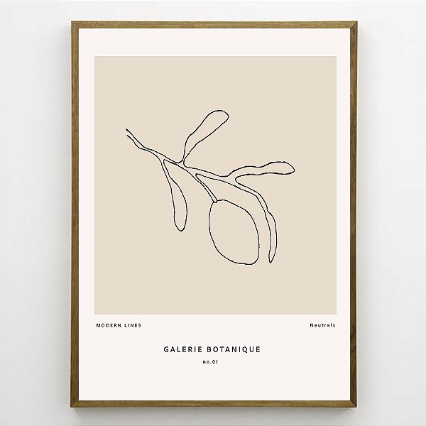 Quadro Decorativo Fruta Abstrata.