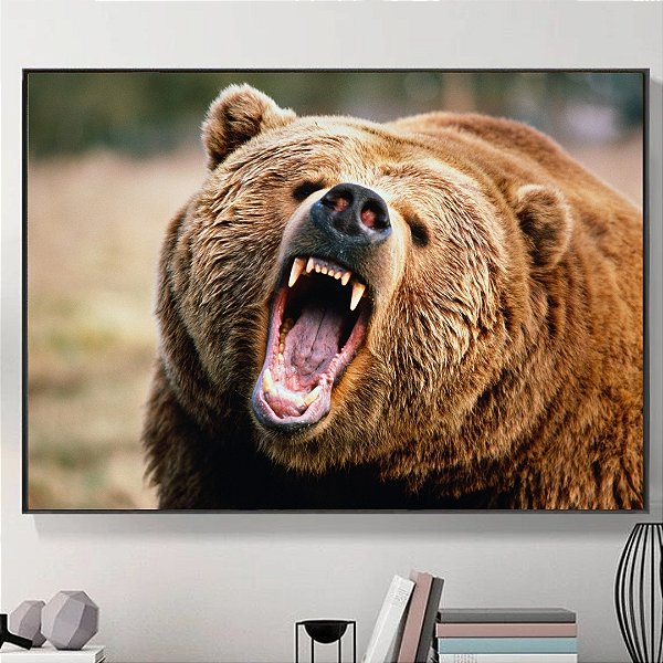 Quadro Decorativo Urso.