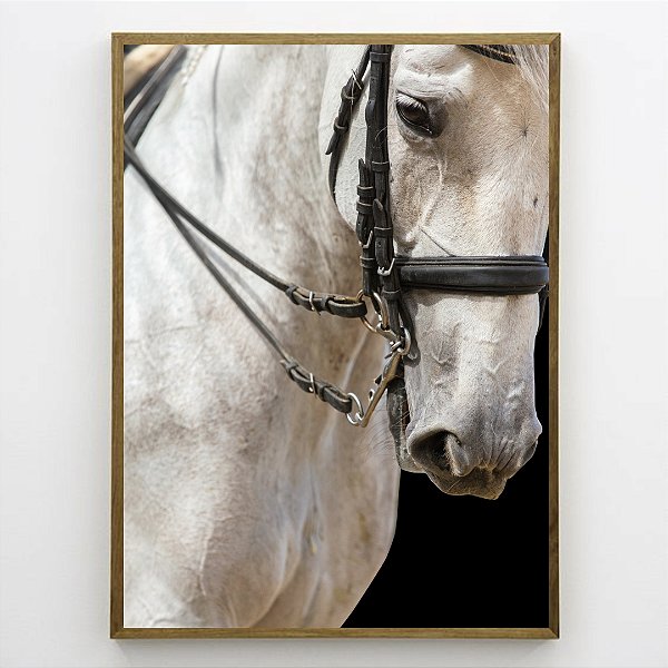 Quadro Decorativo Cavalo Branco.