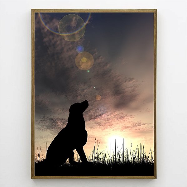 Quadro Decorativo Cachorro e por do sol.