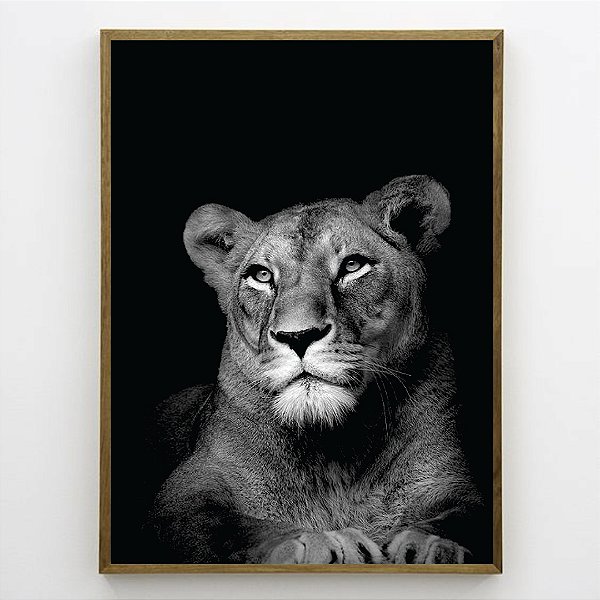 Quadro Decorativo Leoa preto e branco.