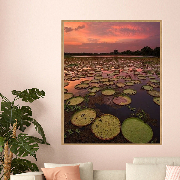 Amazônia - Quadro Decorativo Natureza Sol Ensolarado. Coleção Assinada: Giovanna Gogosz