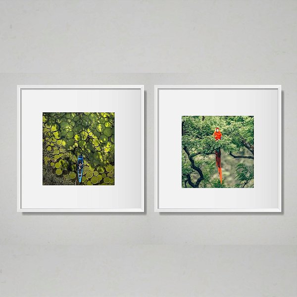 Amazônia - Conjunto 2 Quadros Decorativo Natureza. Coleção Assinada: Giovanna Gogosz
