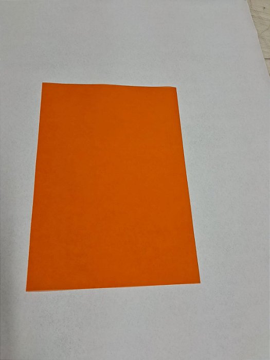 Vegetal Colorido Orange 100g formato A4 com 25 folhas