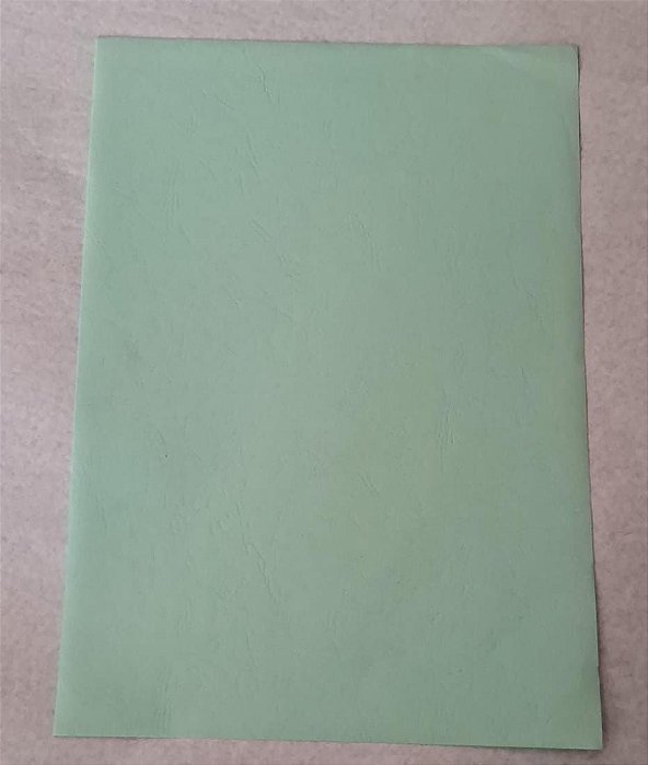 PAPEL COLOR PLUS TEXTURIZADO WOOD TAHITI 180G C/ 25FLS