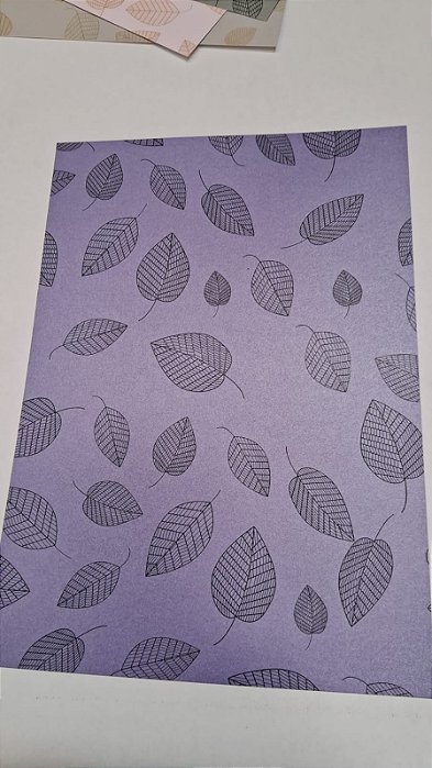 PAPEL 210X297 RELUX  DECOR   AMETISTA FOLHA PRETO 180G C/ 10 FLS