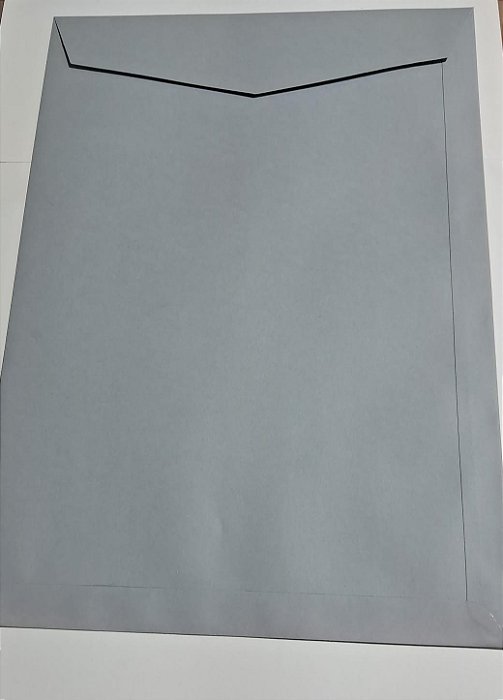 ENVELOPE SACO 25X35 COLOR PLUS MILANO 120G C/ 5 UN